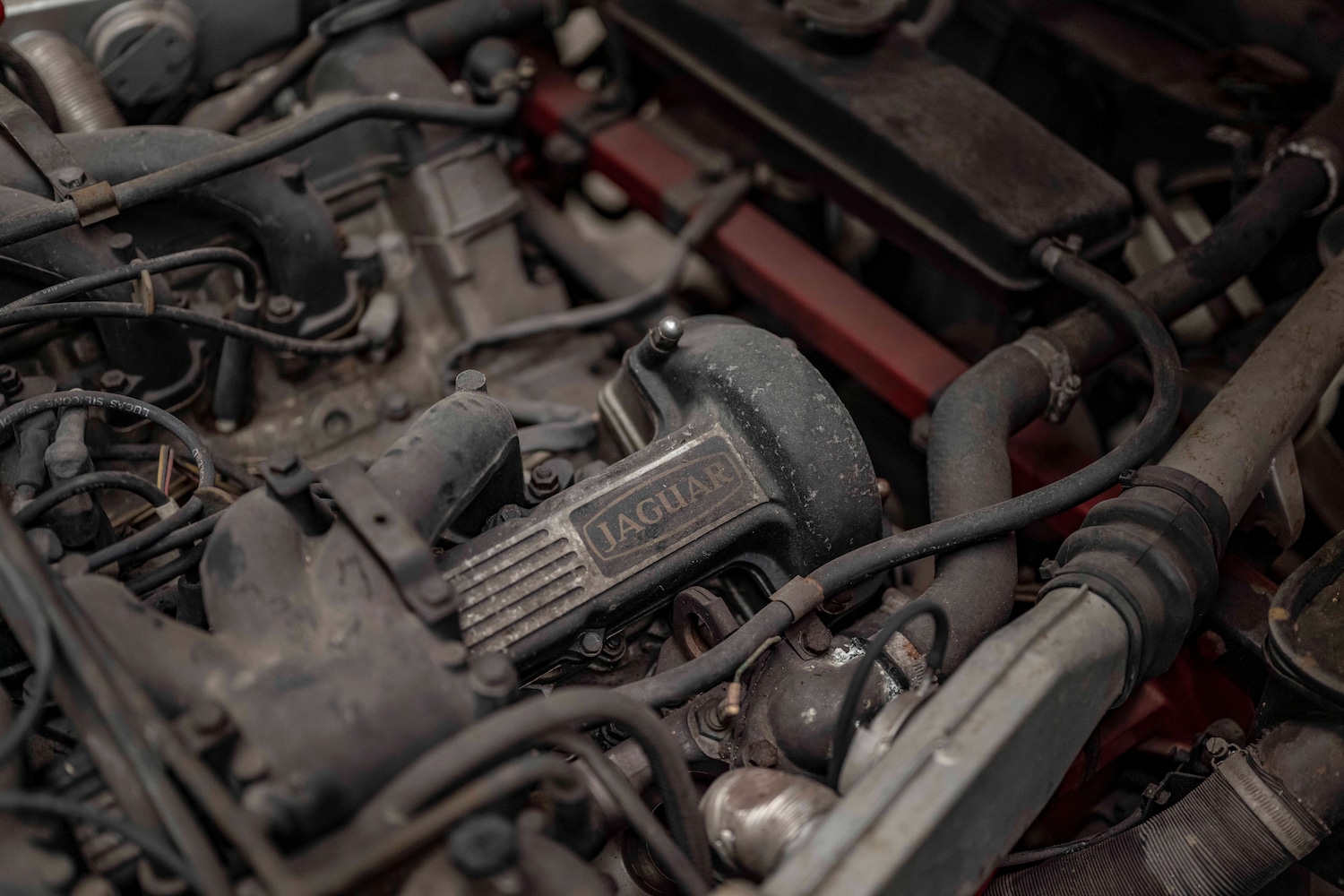 Used Jaguar E-Type 1974 for sale - 78039021: Photo 6