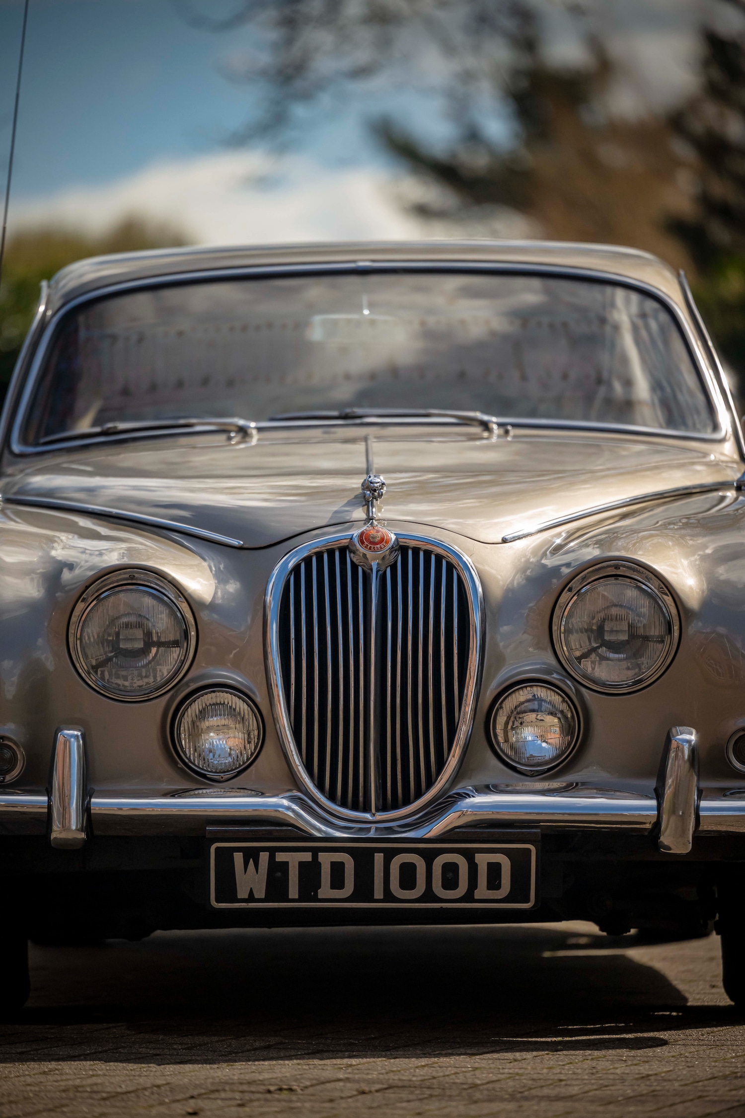 Used Jaguar S-Type 1966 for sale - 78064117: Photo 7