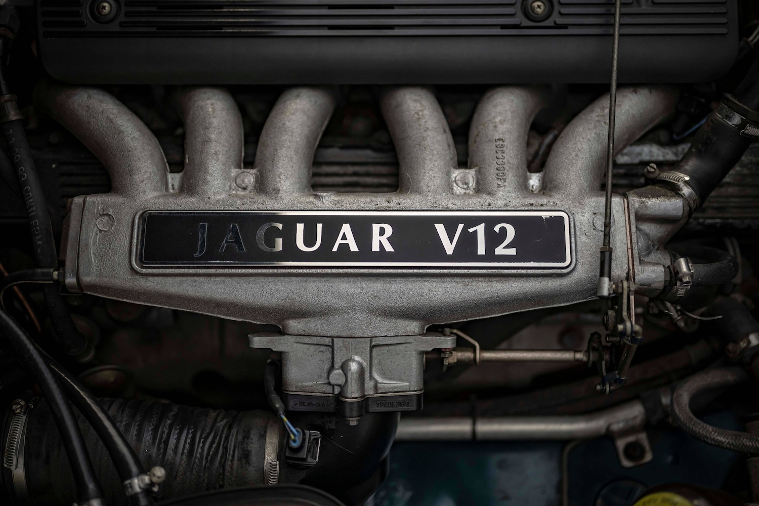 Used Jaguar XJ12 1994 for sale - 76381896: Photo 14