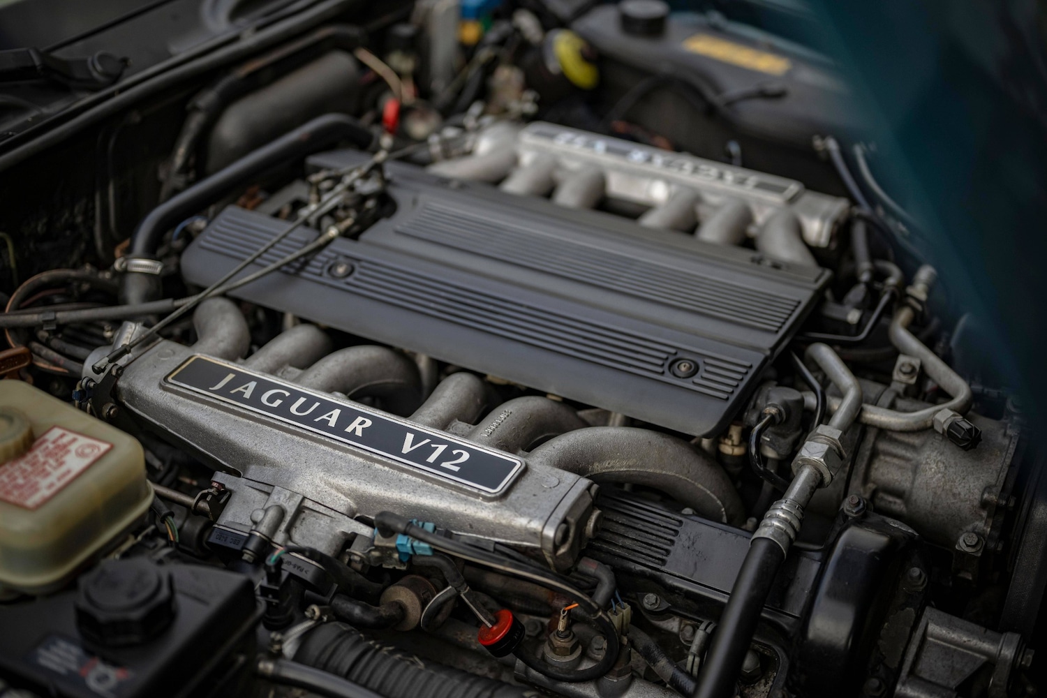 Used Jaguar XJ12 1994 for sale - 76381896: Photo 15