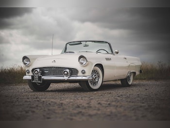 Used Ford Thunderbird 1955 for sale - 75820793: Photo