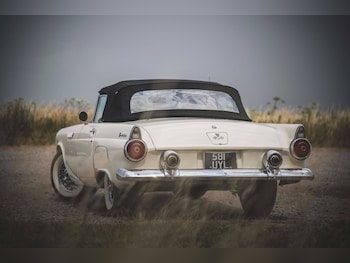 Used Ford Thunderbird 1955 for sale - 75820793: Photo