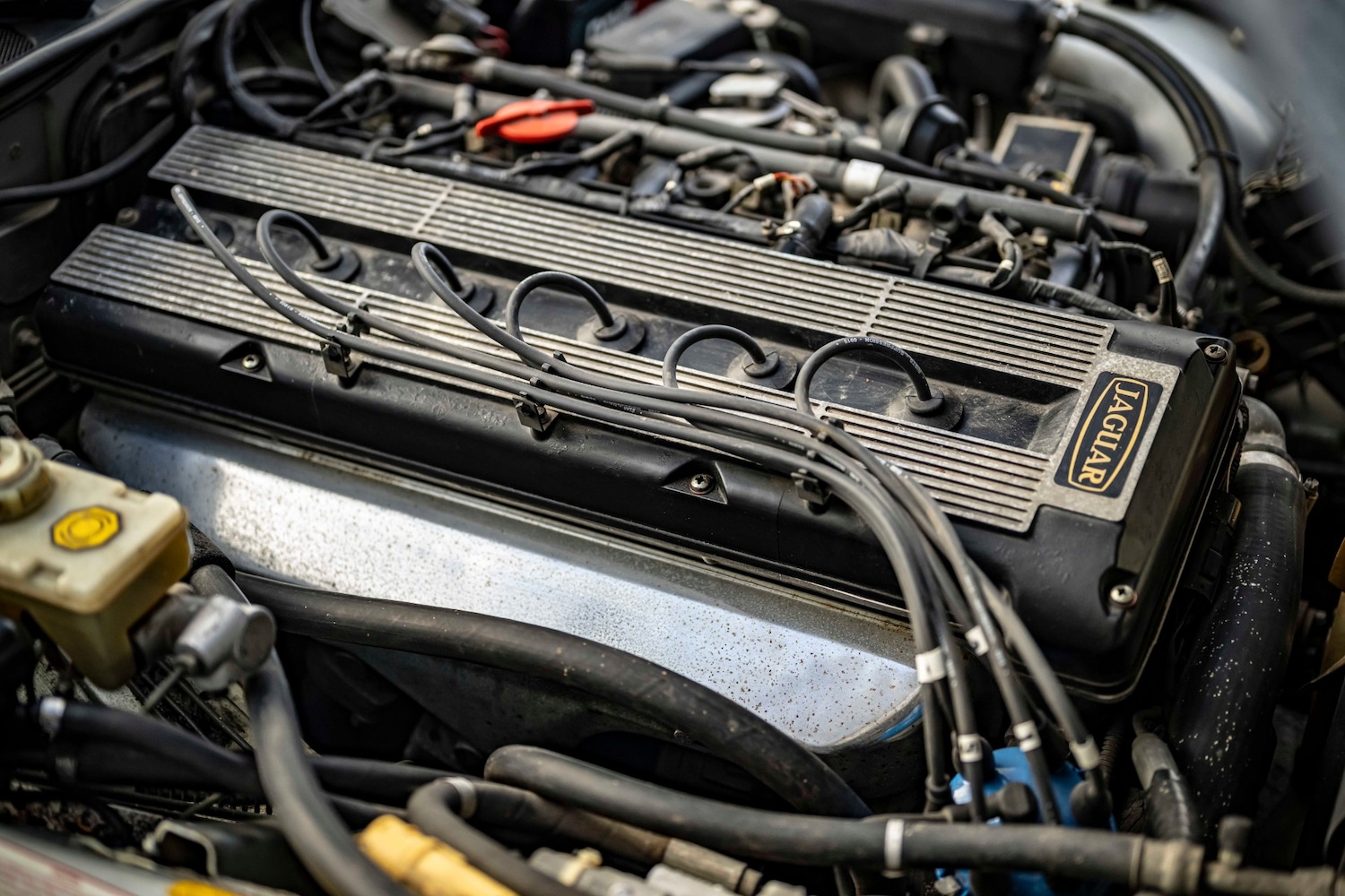 Used Jaguar XJ 1987 for sale - 76980781: Photo 5