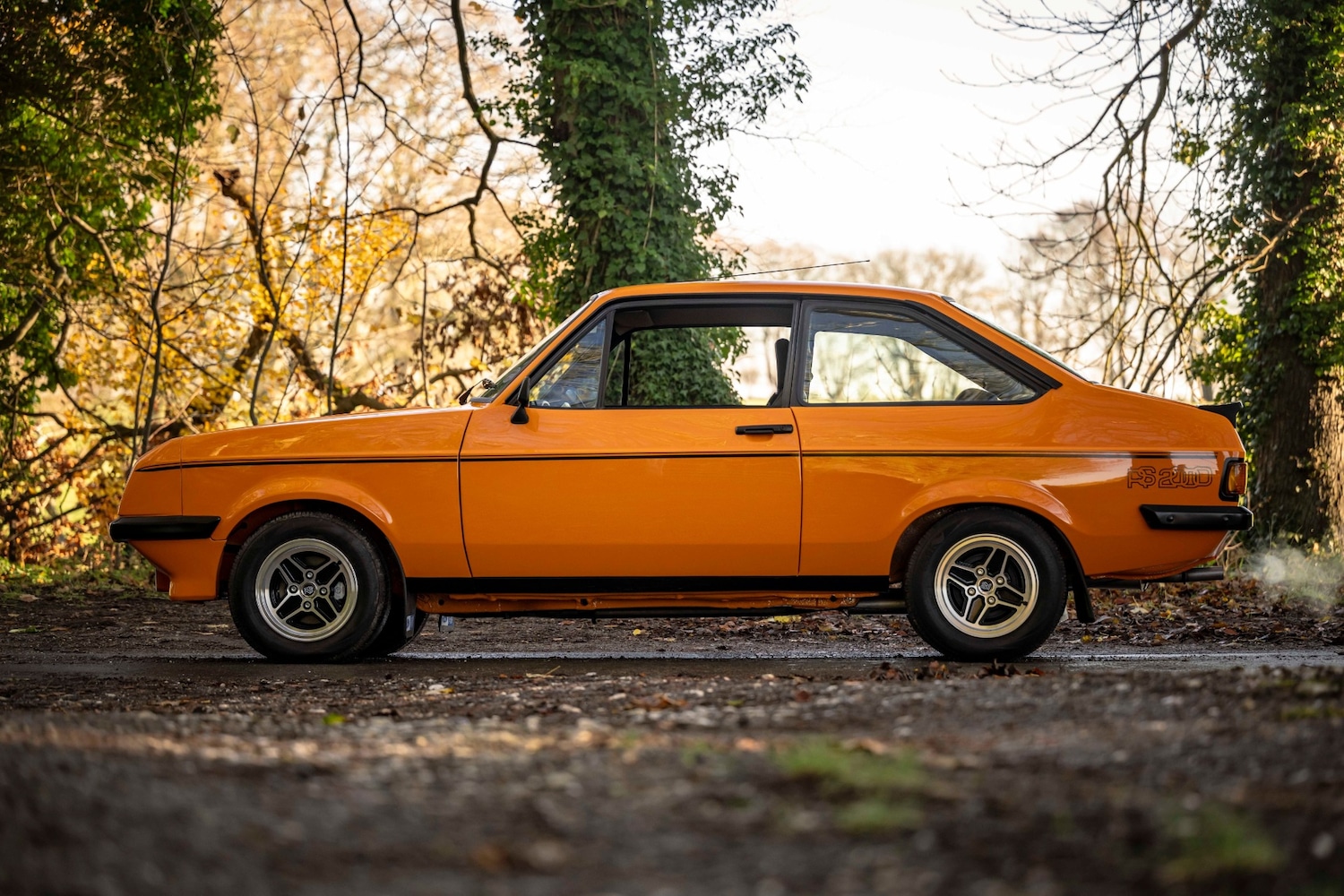 Used Ford Escort 2024 for sale - 76957466: Photo 3