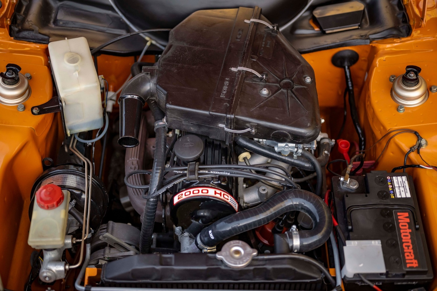 Used Ford Escort 2024 for sale - 76957466: Photo 7