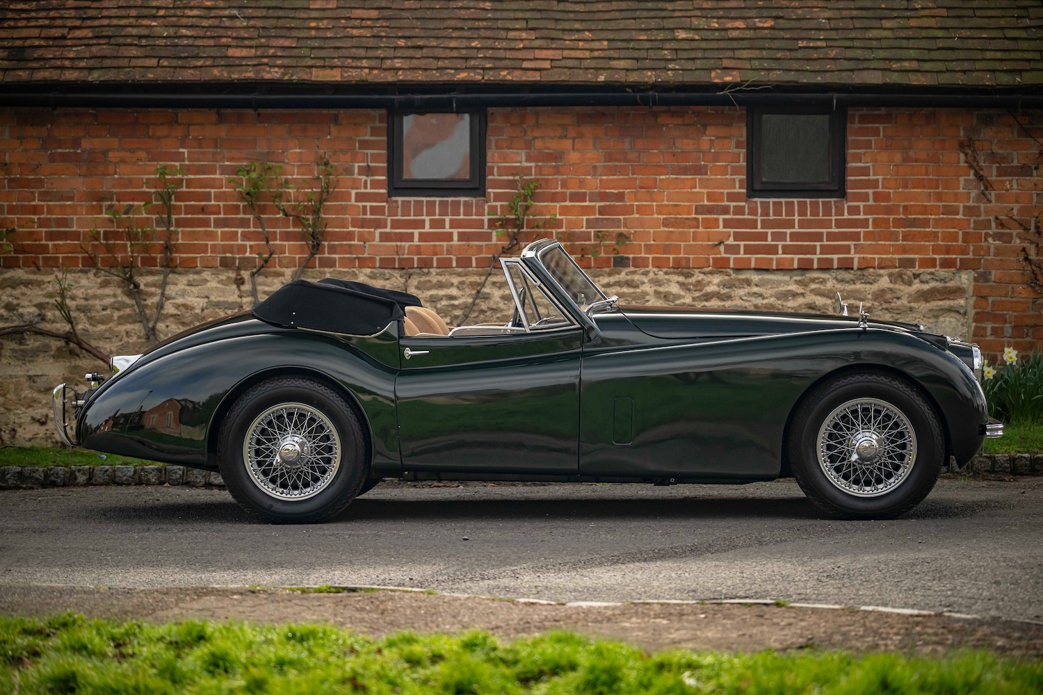 Used Jaguar XK 1954 for sale - 77759406: Photo 4
