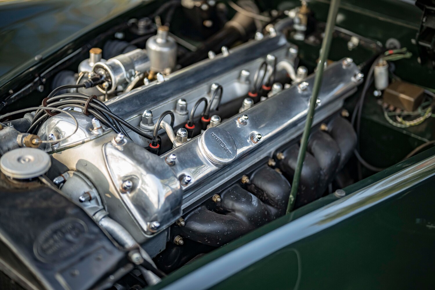 Used Jaguar XK 1954 for sale - 77759406: Photo 6