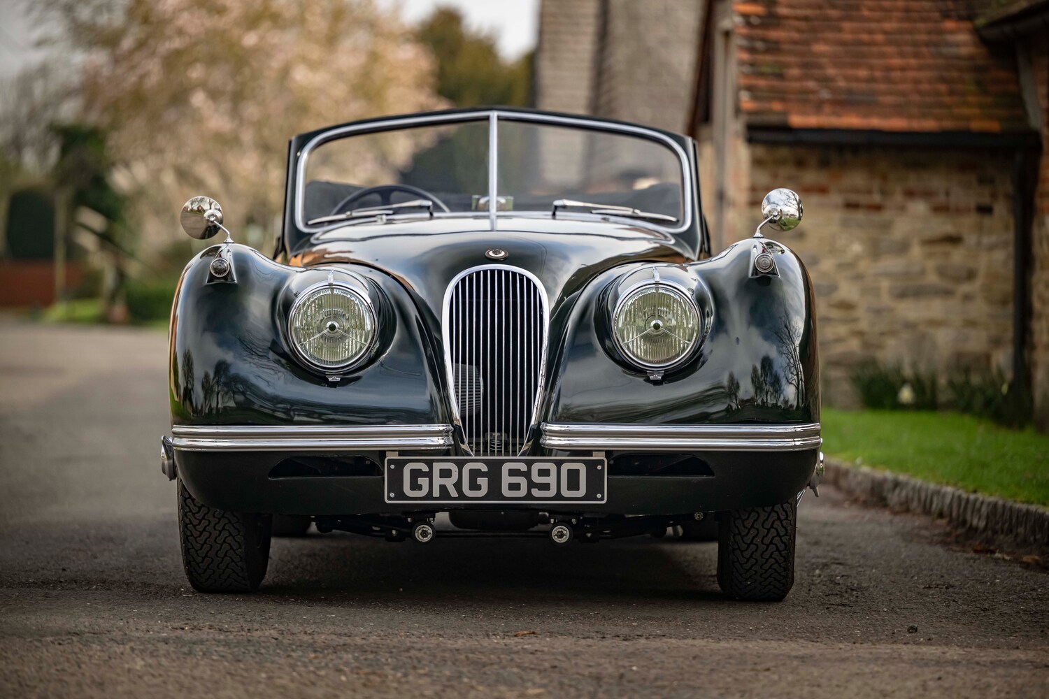 Used Jaguar XK 1954 for sale - 77759406: Photo 7