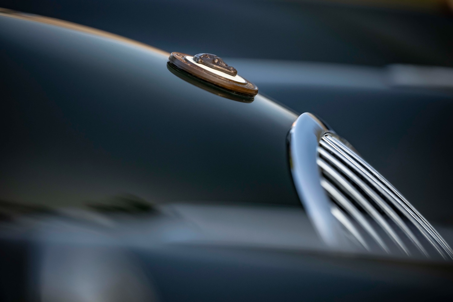 Used Jaguar XK 1954 for sale - 77759406: Photo 9