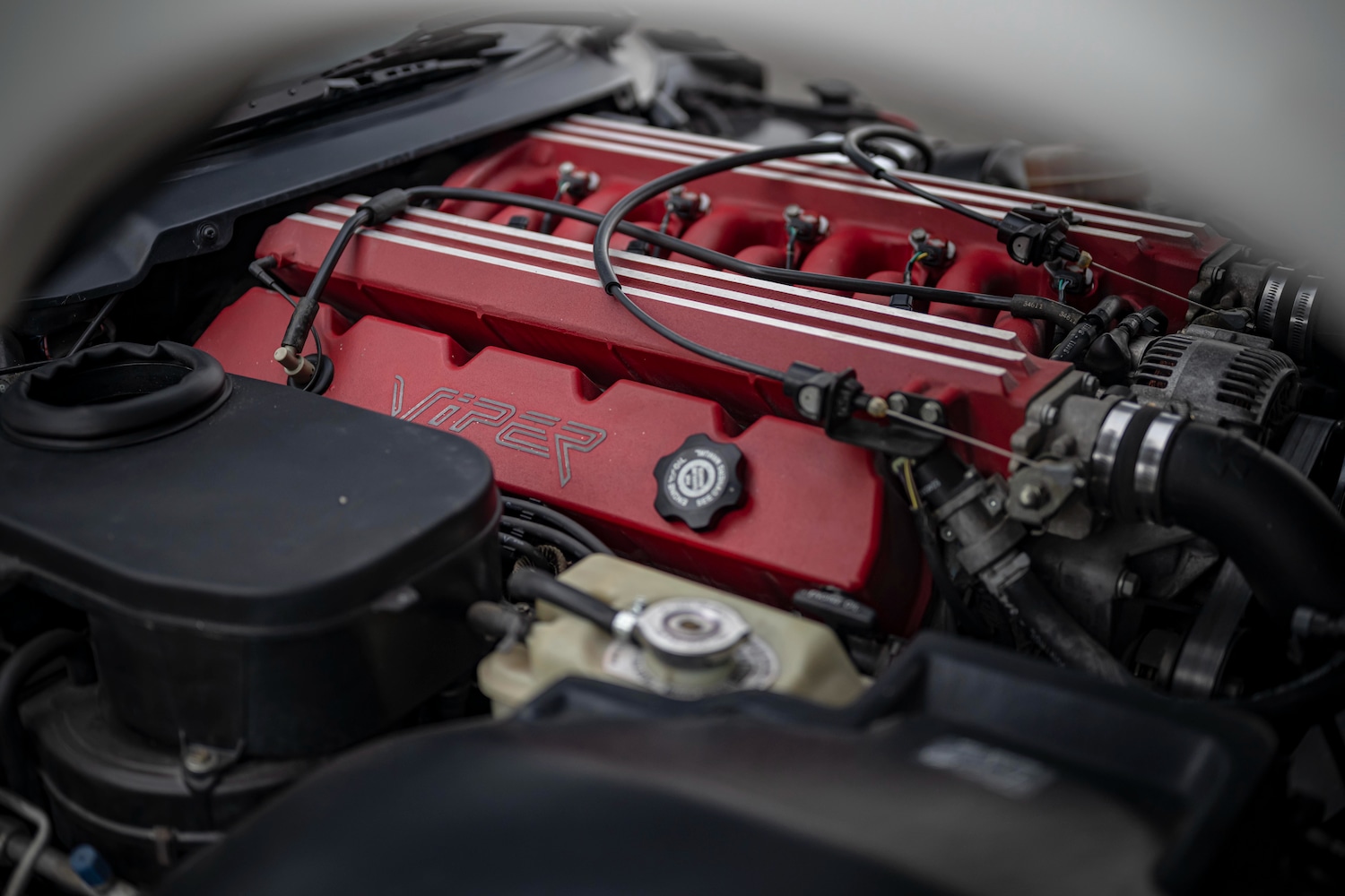 Used Dodge Viper 2010 for sale - 77759749: Photo 6