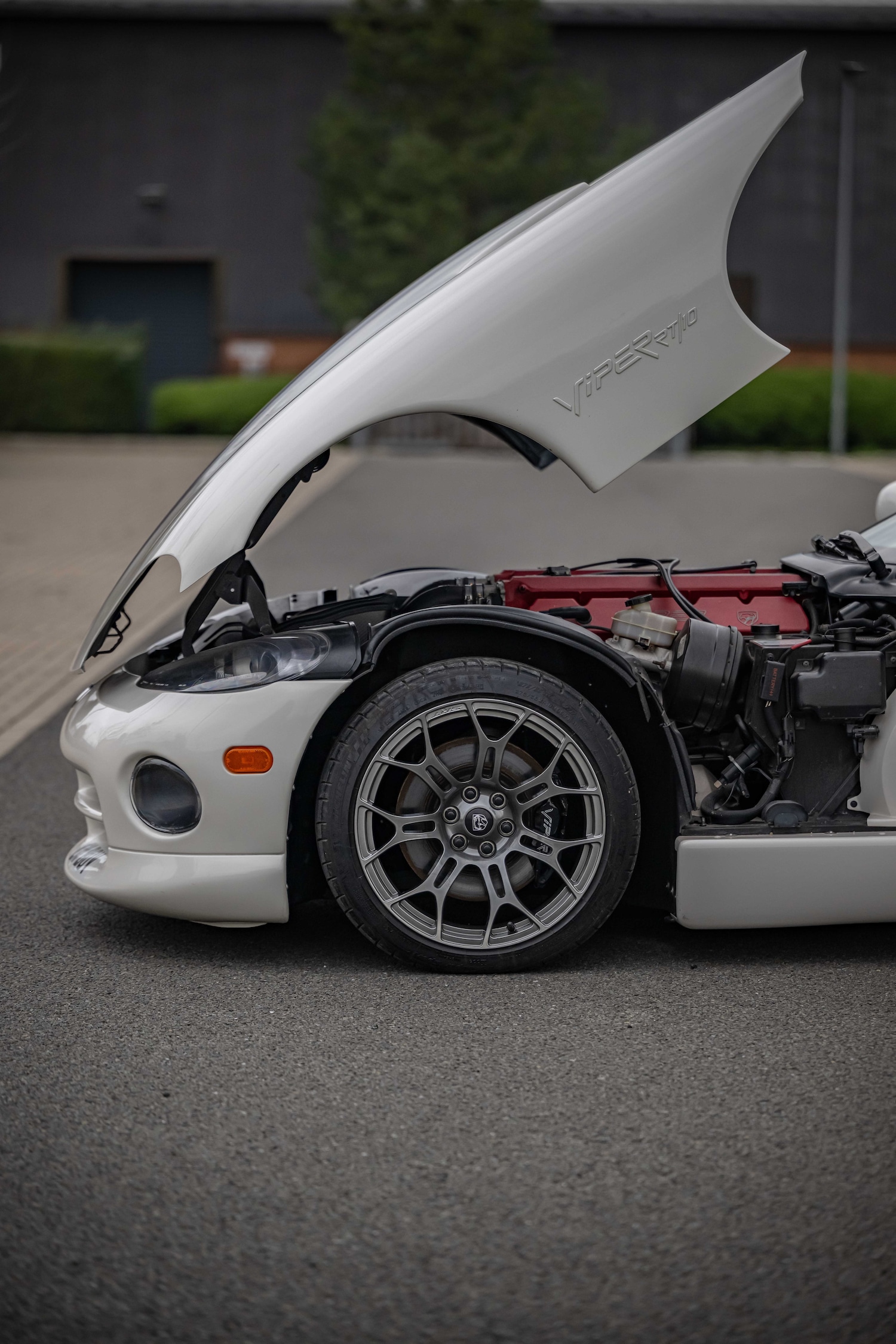 Used Dodge Viper 2010 for sale - 77759749: Photo 9