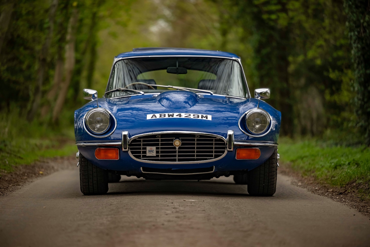 Used Jaguar E-Type 1973 for sale - 78106455: Photo 7