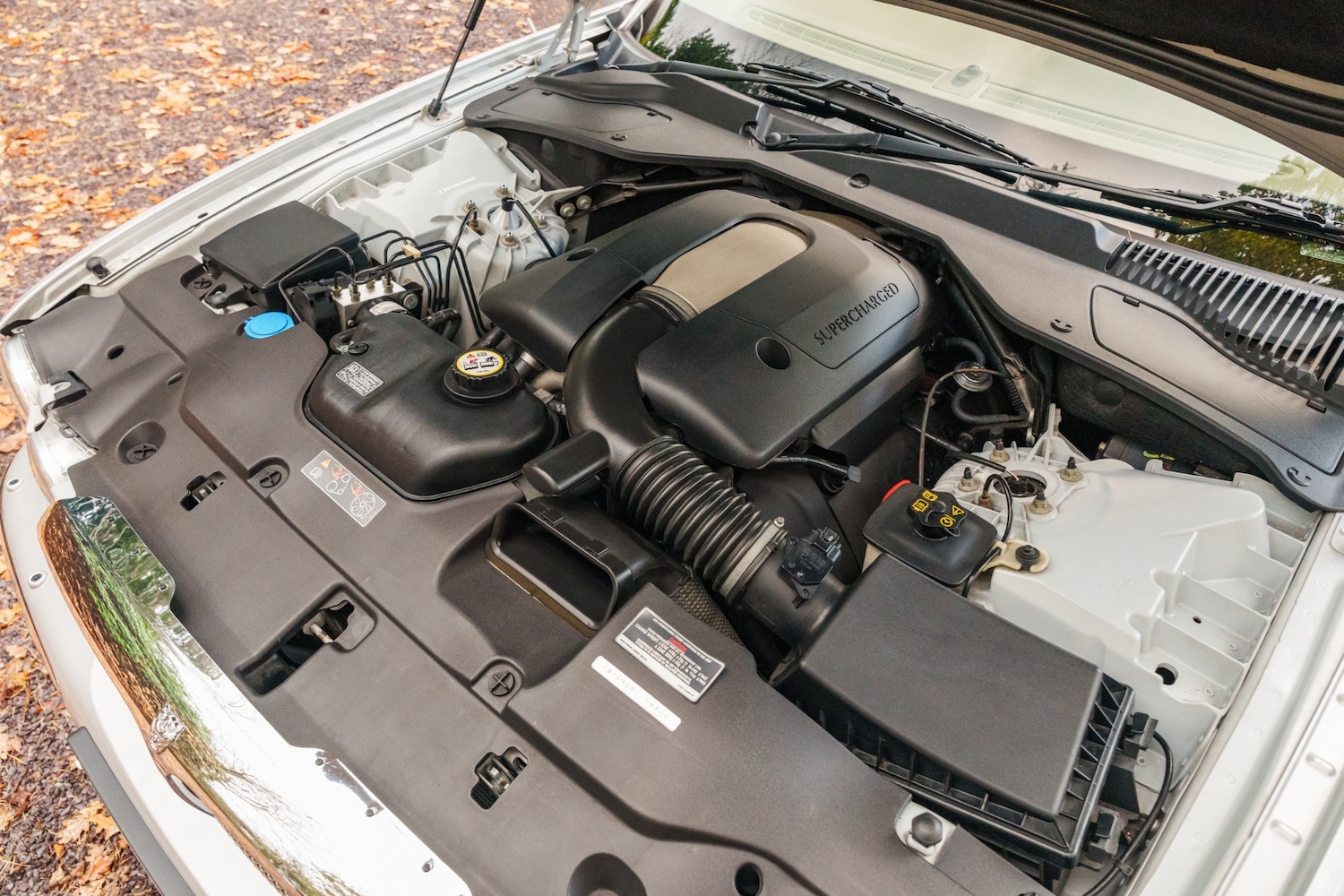 Used Jaguar XJ 2025 for sale - 76706318: Photo 11