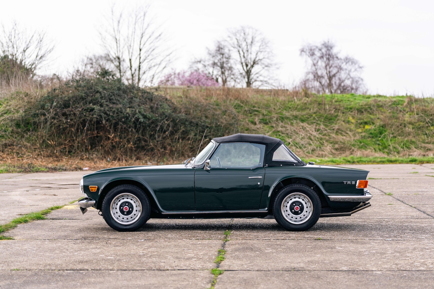 Used Triumph TR6 2005 for sale - 77758714: Photo 4