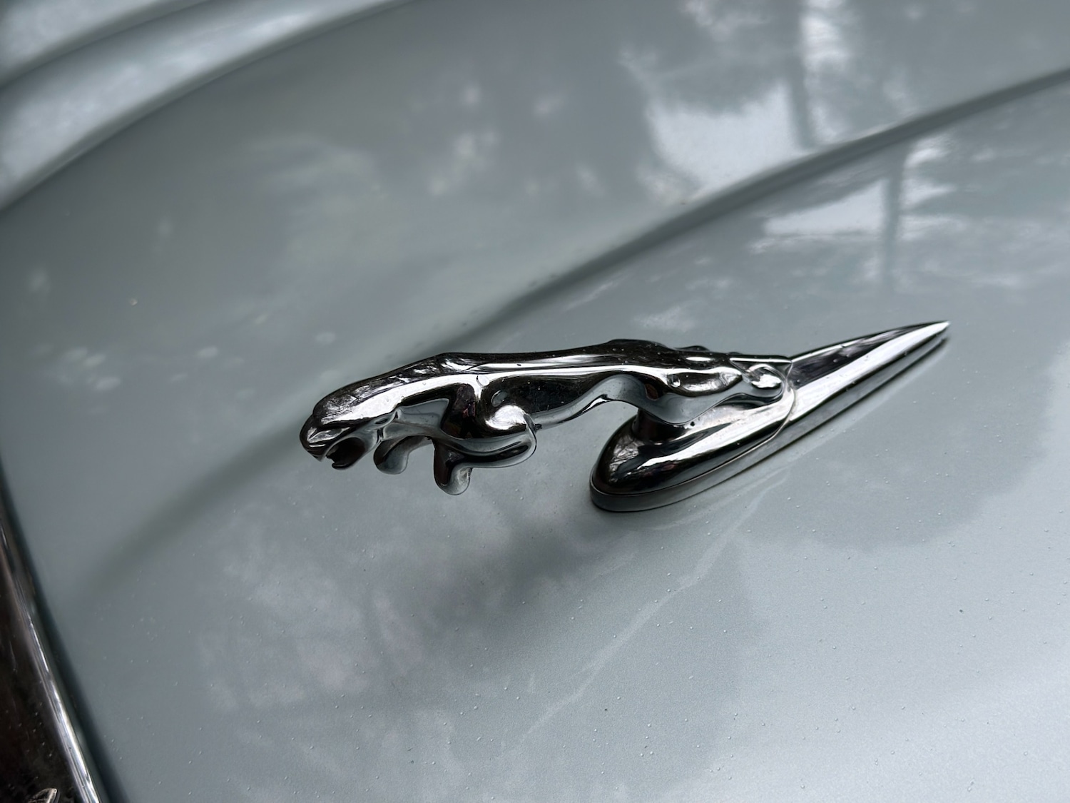 Used Jaguar XJ 1999 for sale - 76507385: Photo 4