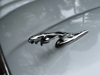 Used Jaguar XJ 1999 for sale - 76507385: Photo