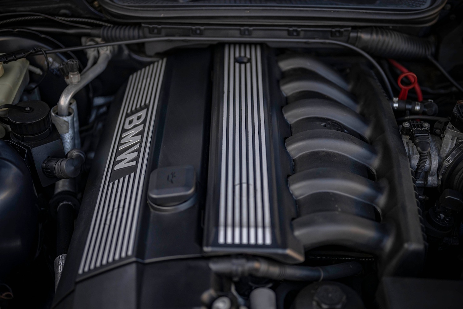 Used BMW 3 Series 1999 for sale - 76599836: Photo 13