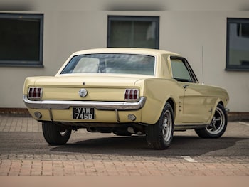 Used Ford Mustang 1966 for sale - 79081692: Photo