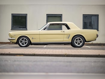 Used Ford Mustang 1966 for sale - 79081692: Photo