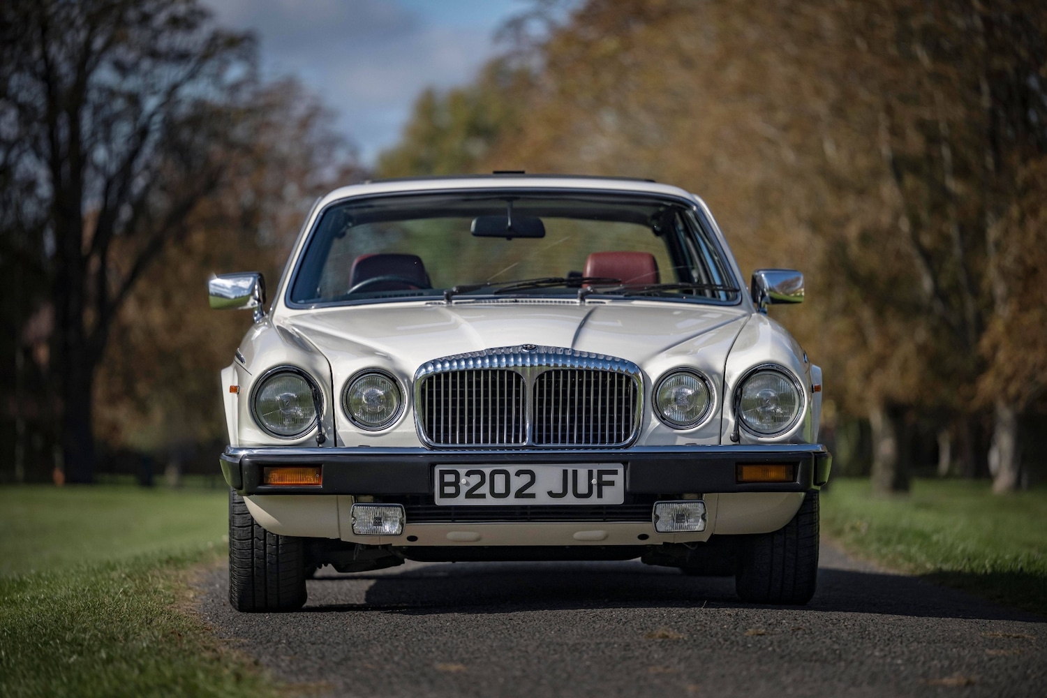 Used Daimler 4.2 1984 for sale - 76142609: Photo 10