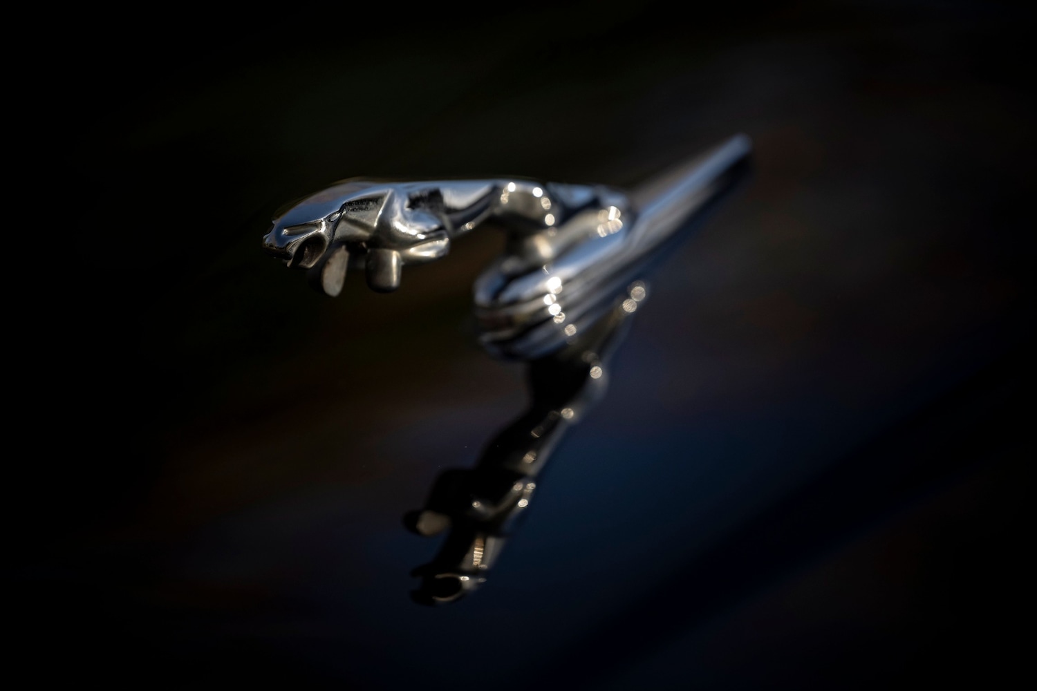 Used Jaguar XJR-S 2019 for sale - 77135743: Photo 8