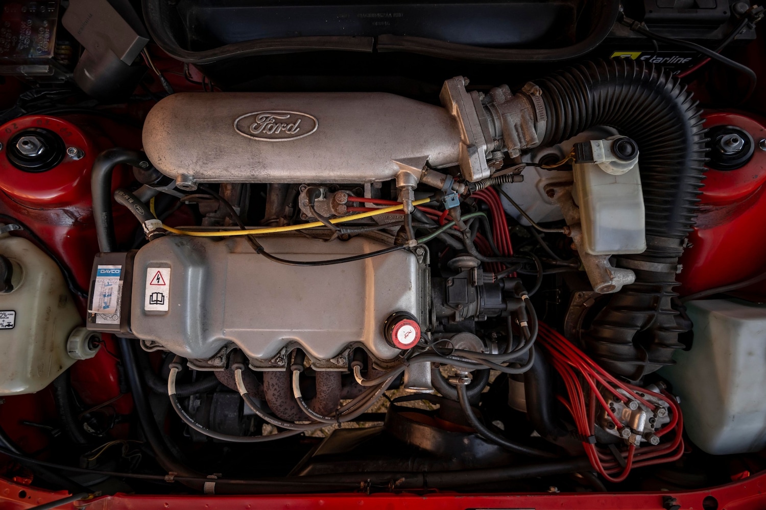 Used Ford Escort 1983 for sale - 77112878: Photo 3