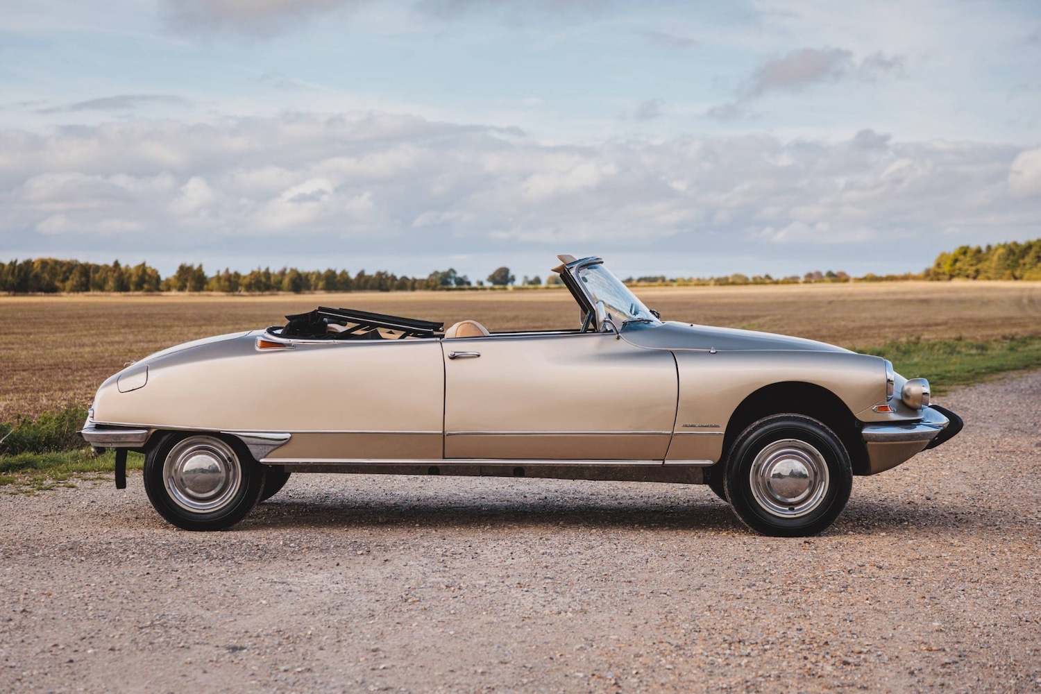 Used Citroen DS 1966 for sale - 76449716: Photo 12