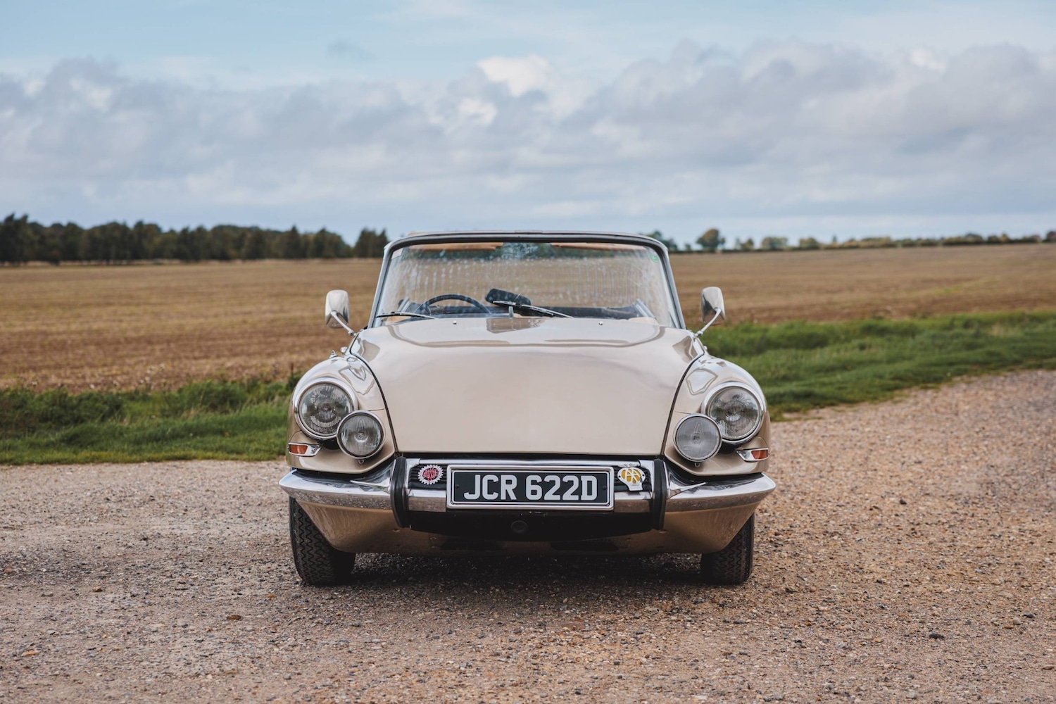 Used Citroen DS 1966 for sale - 76449716: Photo 5