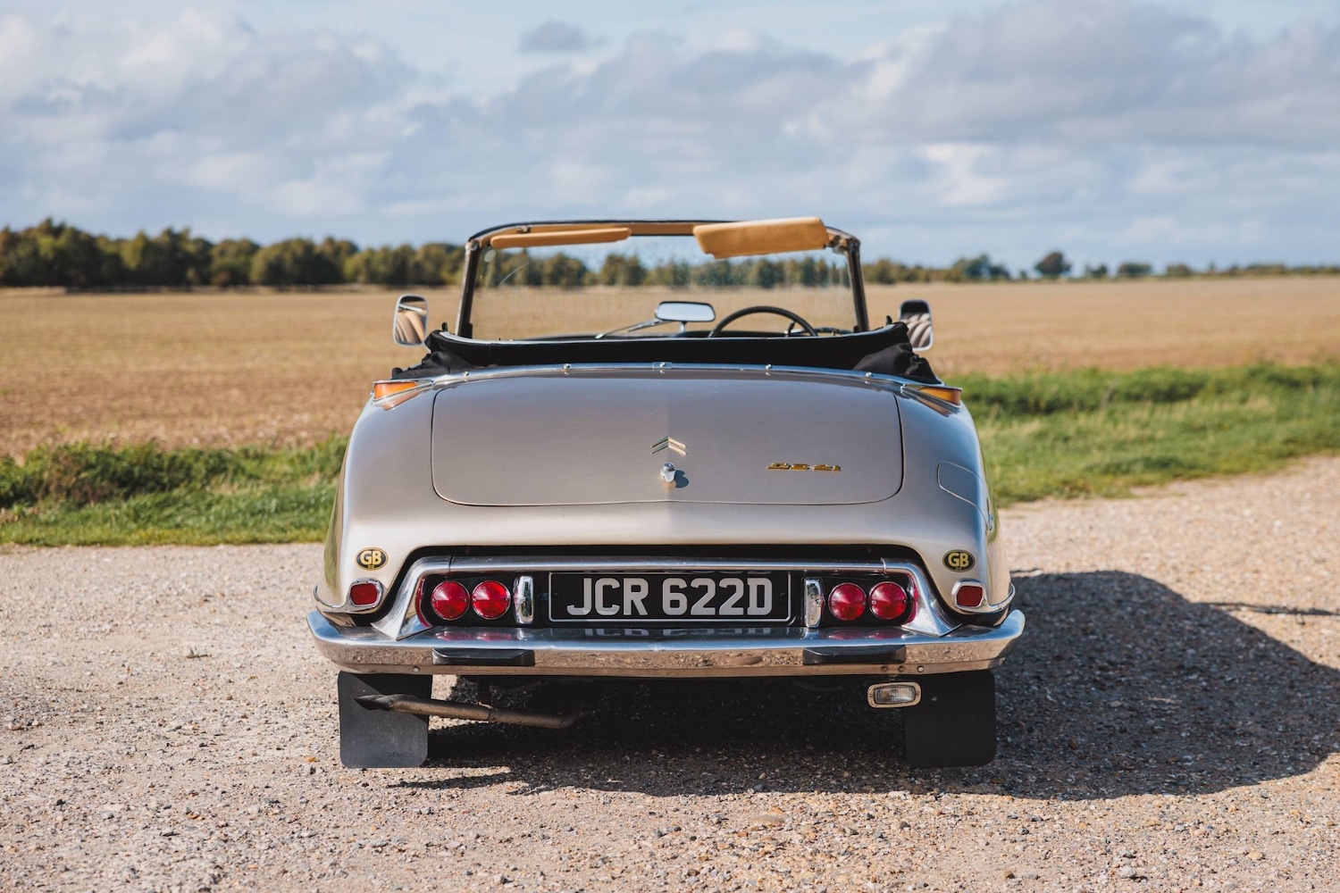 Used Citroen DS 1966 for sale - 76449716: Photo 6