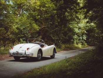 Used Jaguar XK 1955 for sale - 74692133: Photo