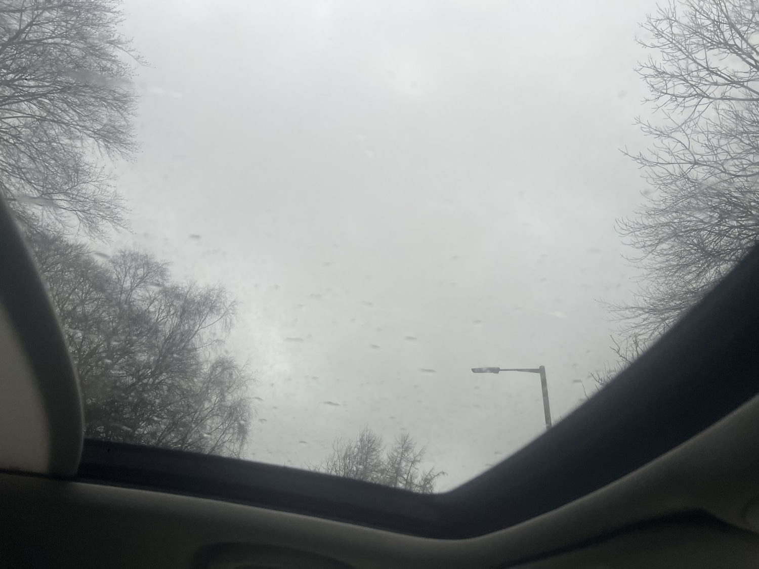 Used Fiat 500L 2014 for sale - 77052259: Photo 11