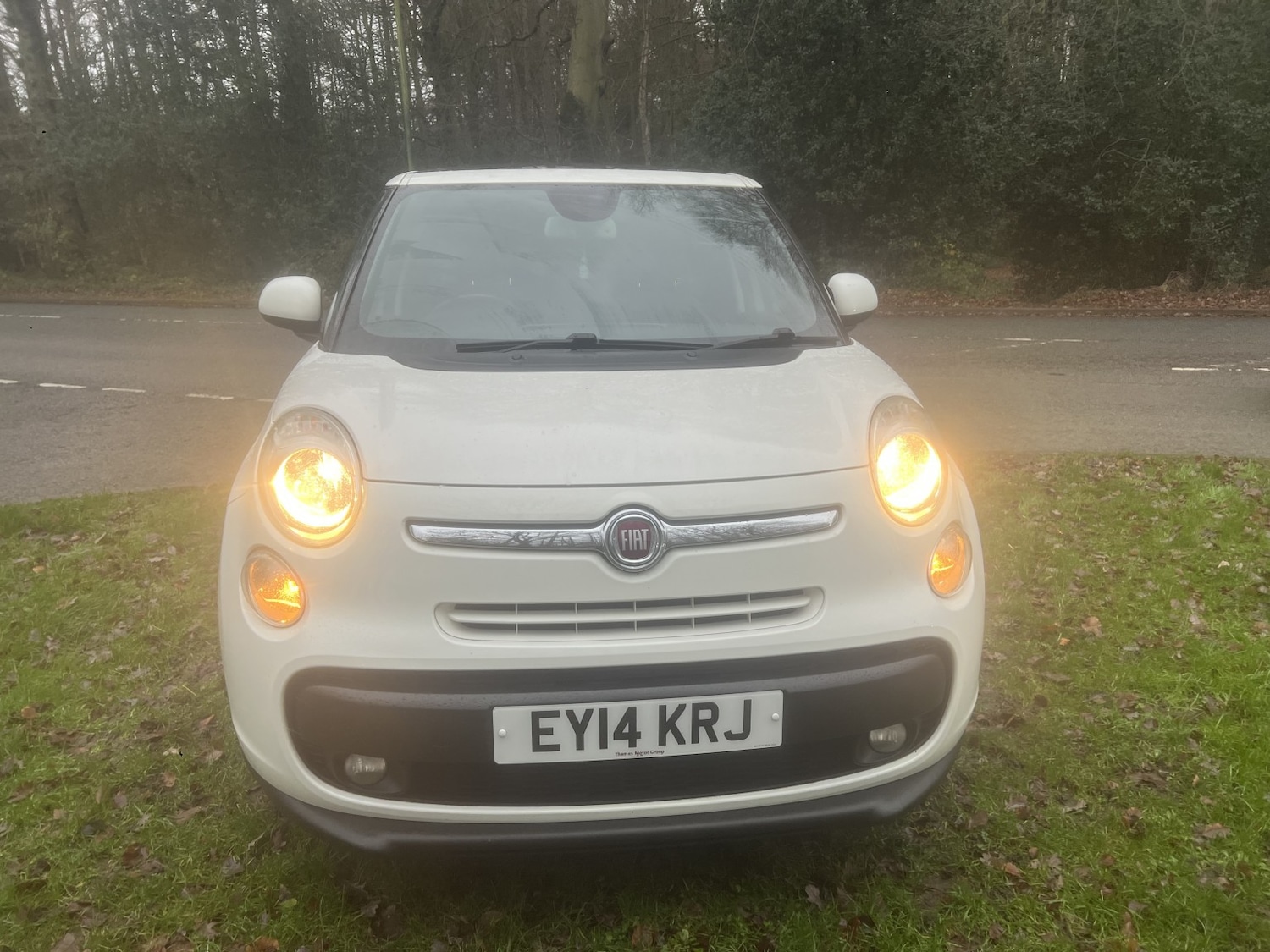 Used Fiat 500L 2014 for sale - 77052259: Photo 3