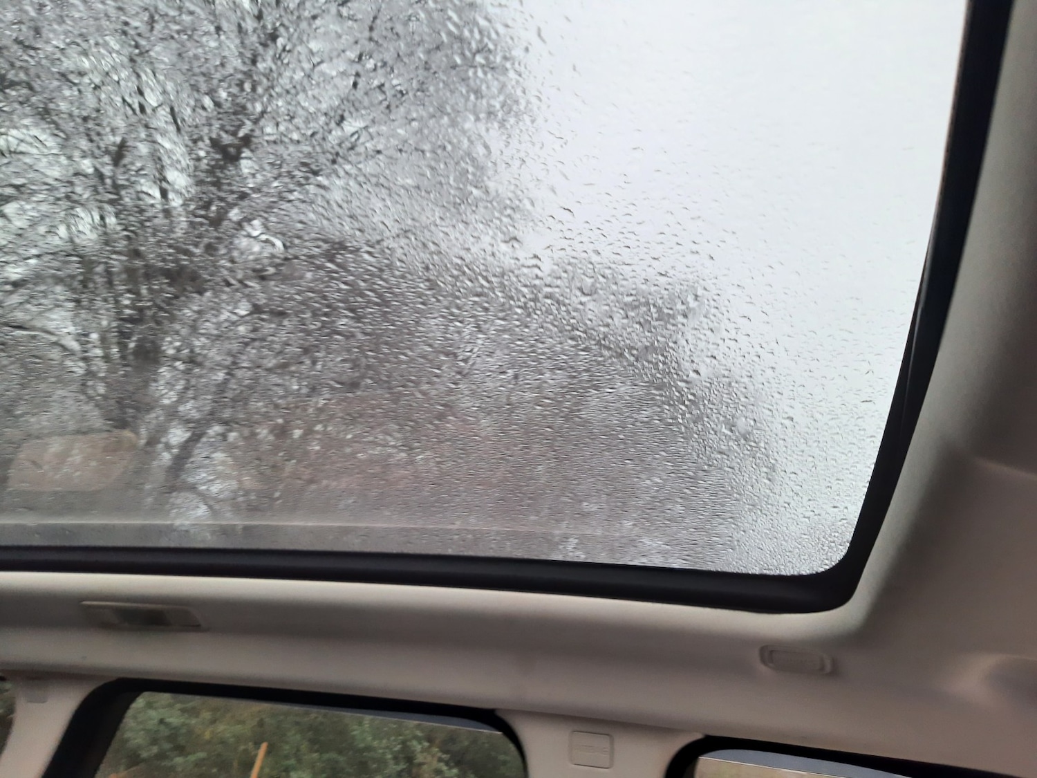 Used Land Rover Range Rover Evoque 2012 for sale - 77802646: Photo 11