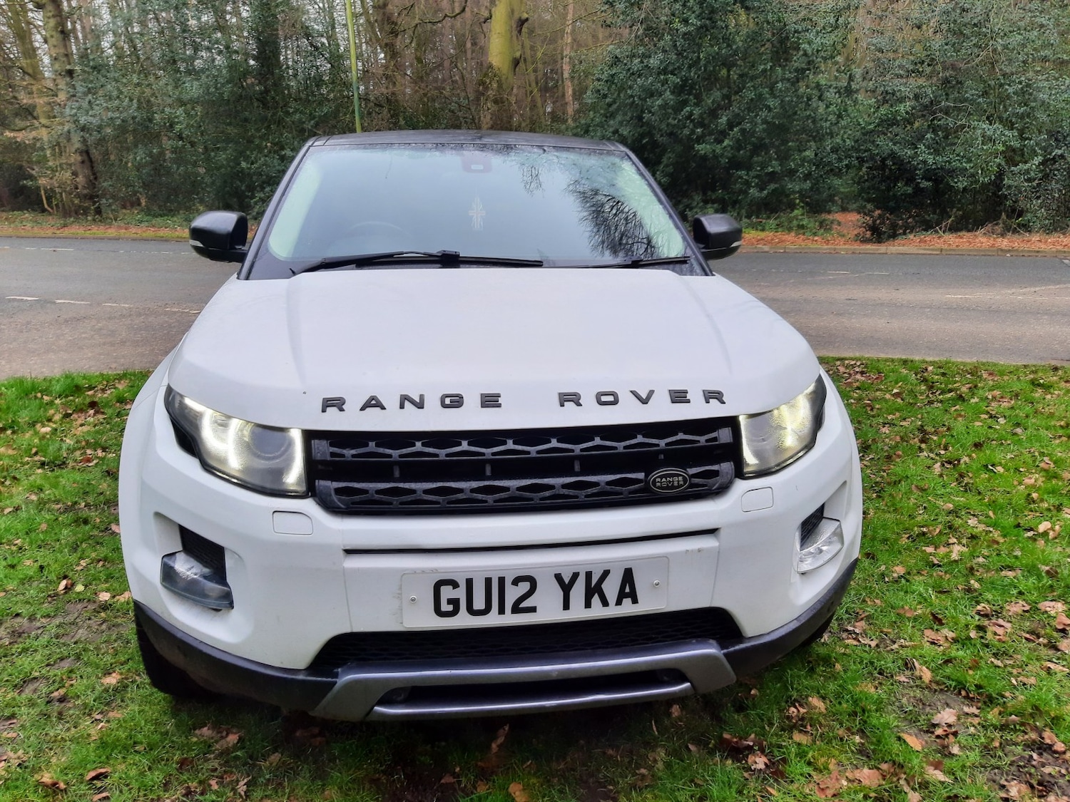 Used Land Rover Range Rover Evoque 2012 for sale - 77802646: Photo 3