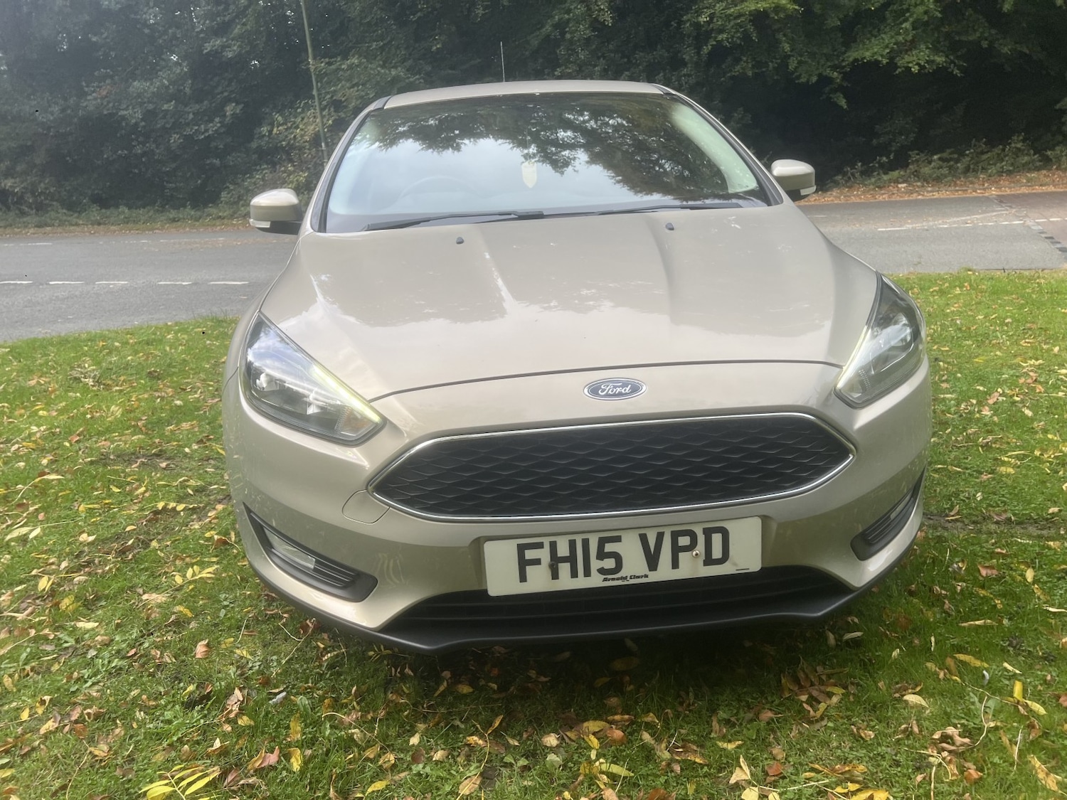 Used Ford Focus 2015 for sale - 76246179: Photo 3