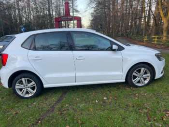 Used Volkswagen Polo 2016 for sale - 73234394: Photo