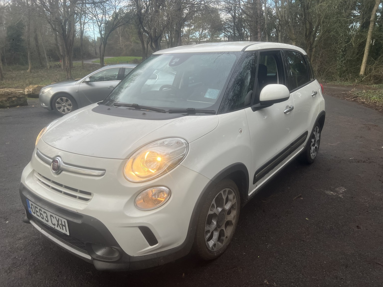 Used Fiat 500L 2013 for sale - 77240292: Photo 8