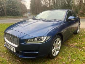 Used Jaguar XE 2016 for sale - 73797283: Photo