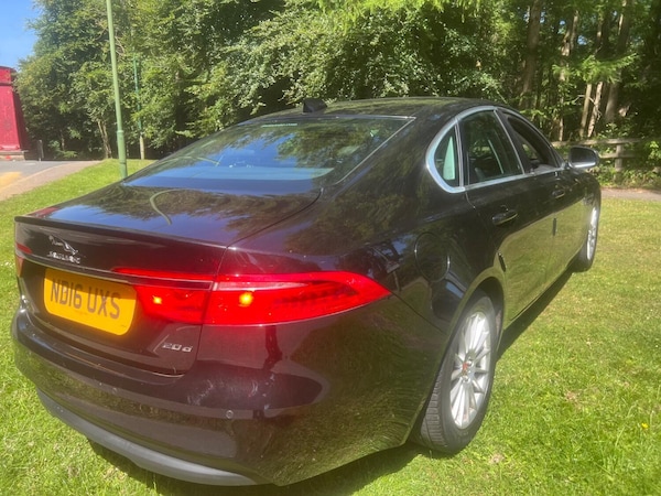Used Jaguar XF 2016 for sale - 75277838: Photo 8