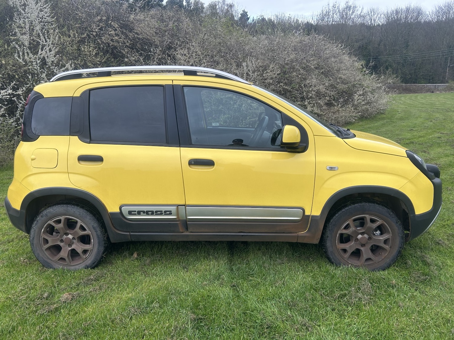 Used Fiat Panda 2014 for sale - 78139424: Photo 1