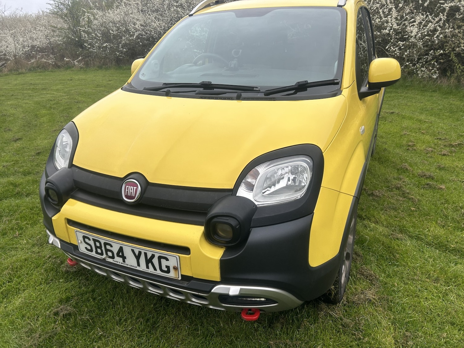 Used Fiat Panda 2014 for sale - 78139424: Photo 4