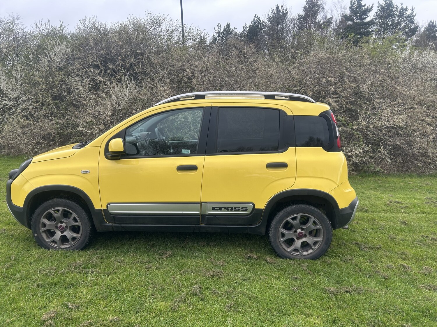Used Fiat Panda 2014 for sale - 78139424: Photo 9