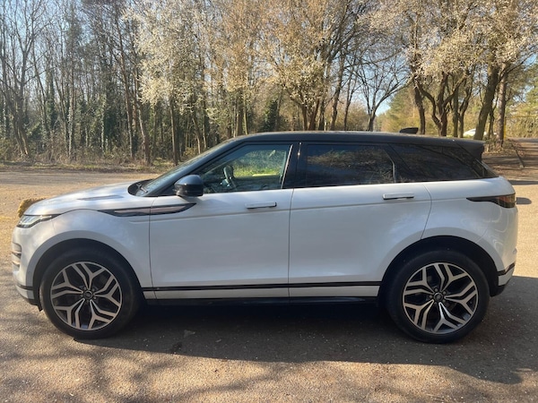Used Land Rover Range Rover Evoque 2019 for sale - 74735807: Photo 5