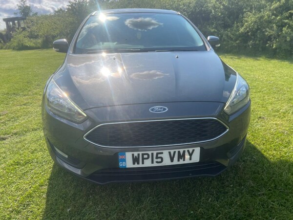 Used Ford Focus 2015 for sale - 74938050: Photo 3