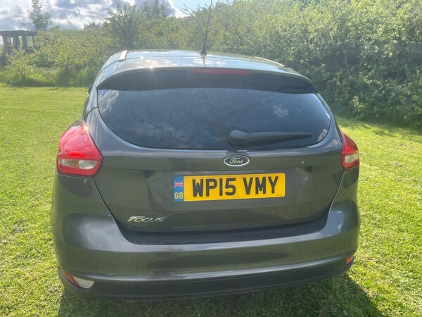 Used Ford Focus 2015 for sale - 74938050: Photo 7