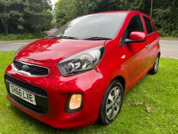Used Kia Picanto 2016 for sale - 71698650: Photo