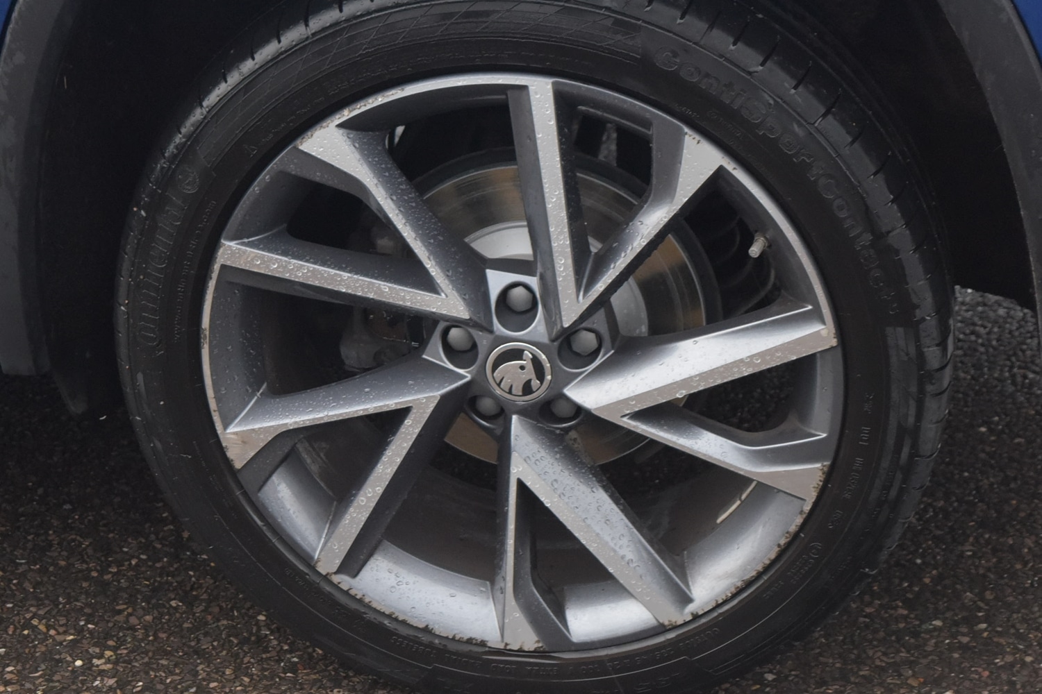 Used Skoda Kodiaq 2023 for sale - 77293091: Photo 5