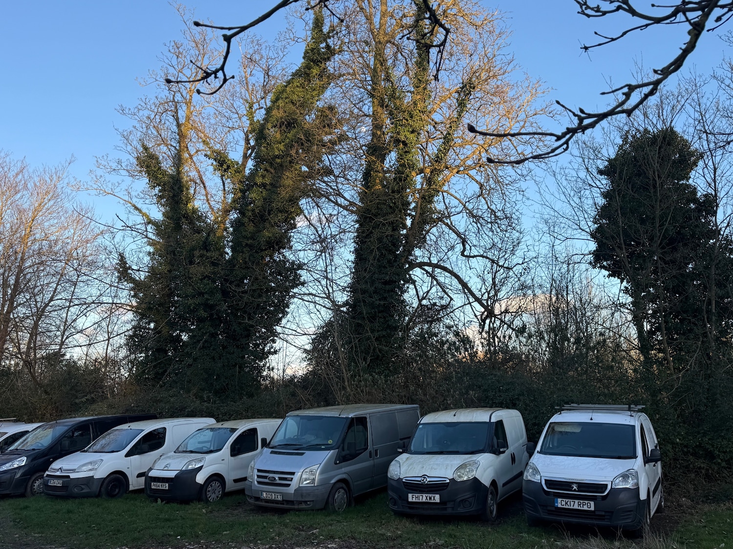 Used Vauxhall Movano 2018 for sale - 77782106: Photo 9