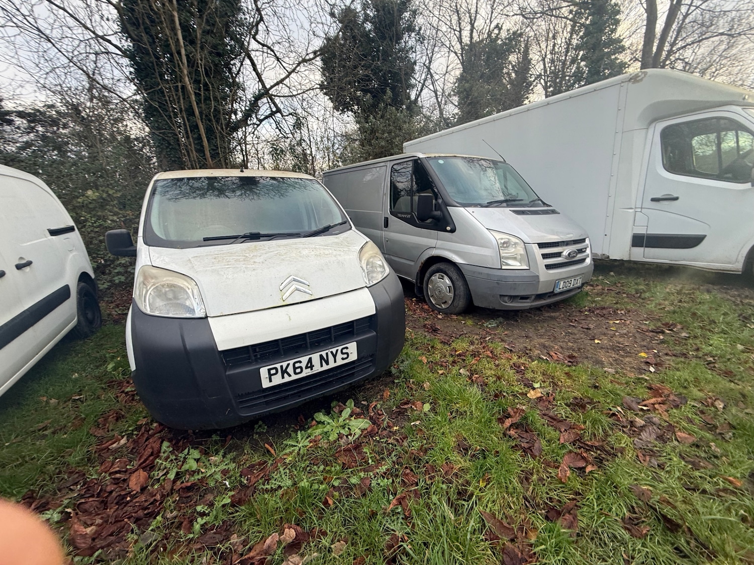 Used Citroen Nemo 2014 for sale - 77061247: Photo 11