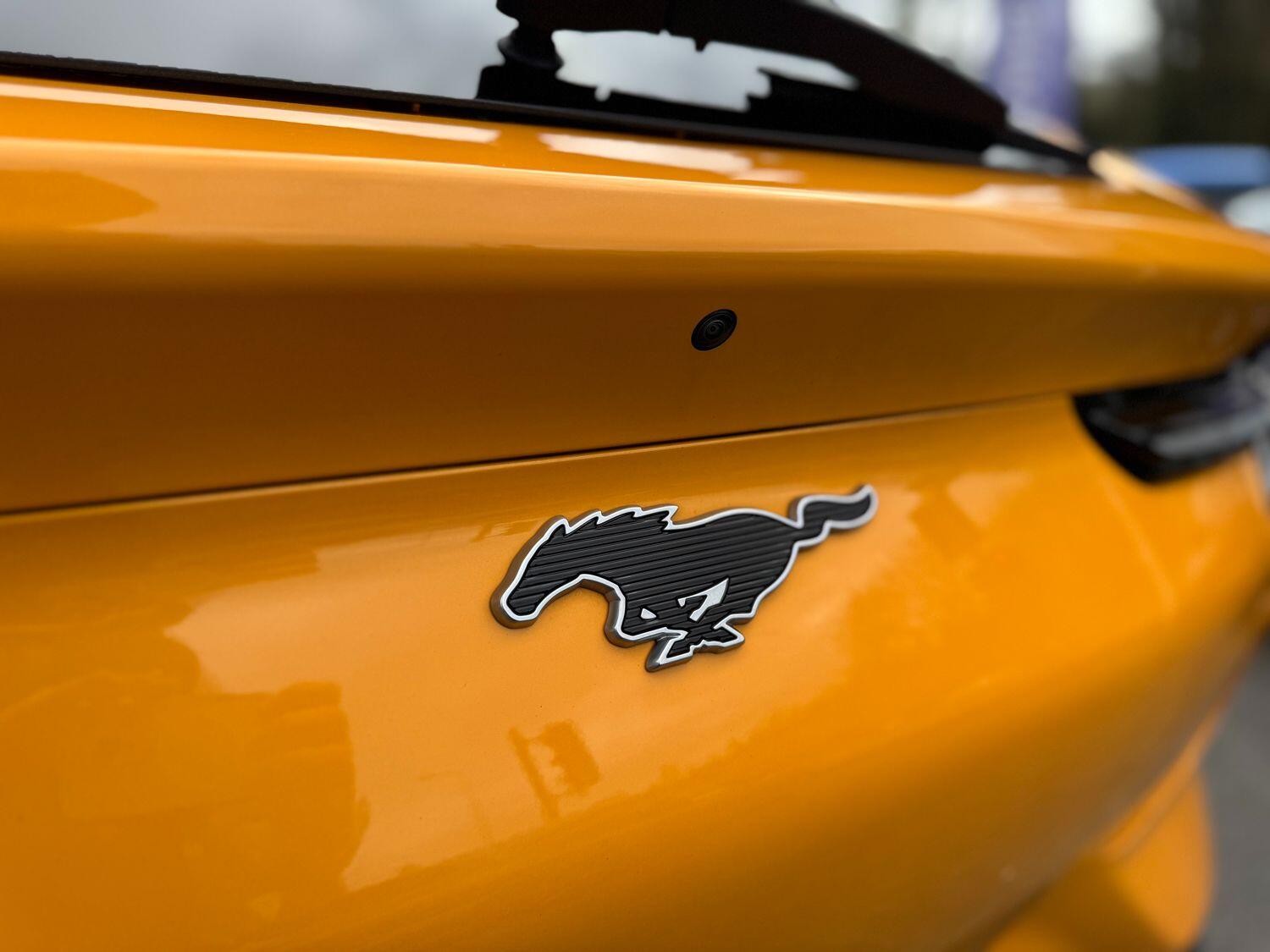 Used Ford Mustang Mach-E 2023 for sale - 77926038: Photo 48